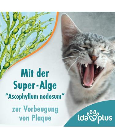 Ida Plus Dental Care Mini Sticks for Cats - Anti-Plaque Treats Freshens Breath Cleans Teeth - 80 Delicious Pieces - Buy Online on SooperMarket.com