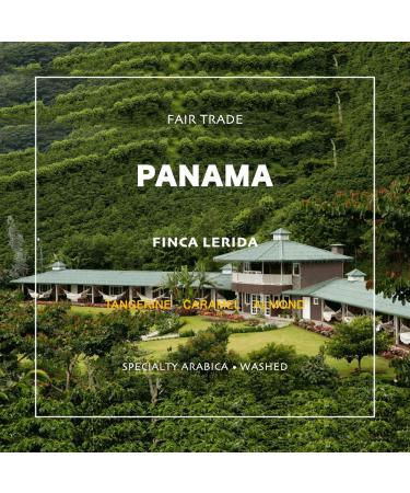 Panama Boquete Award Winner - Lerida Single Origin 2 Lb Unroasted Green Coffee Beans by Grand Parade Coffee - Buy Online on SooperMarket.com