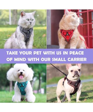 Buy Tikxlafe Adjustable Cat Dishes with Leash - 150 cm Polyester Cat Line Set for Kittens (Red Size S) - International Shipping Available - Buy Online on SooperMarket.com