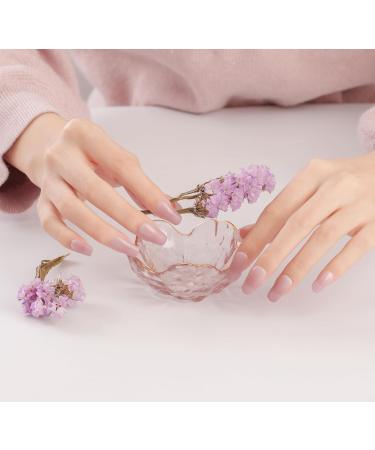 DANNI & TONI Semi Cured Nail Wraps - Aglaia Salon-Quality Gel Nail Stickers Set with Light Pink Tips - 28 Self-Adhesive Strips for Manicure - Buy Online on SooperMarket.com