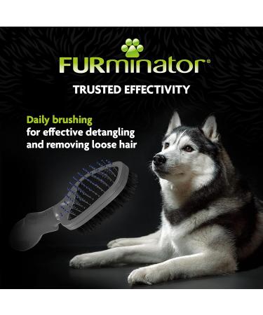 FURminator Dual Grooming Brush for Cats and Dogs - Shedding Tool for Effective Pet Hair Removal - Buy Online on SooperMarket.com