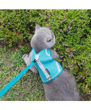 Premium Cat Dishes with Leash | Reflective Cat Patrol Gear for Safe Adventures - Buy Online on SooperMarket.com