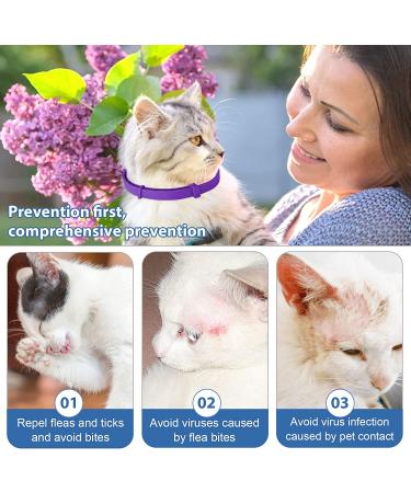 2 Pack Cat Flea Collar | 8 Months Protection | Repels Fleas & Ticks | Safe & Effective Prevention - Buy Online on SooperMarket.com