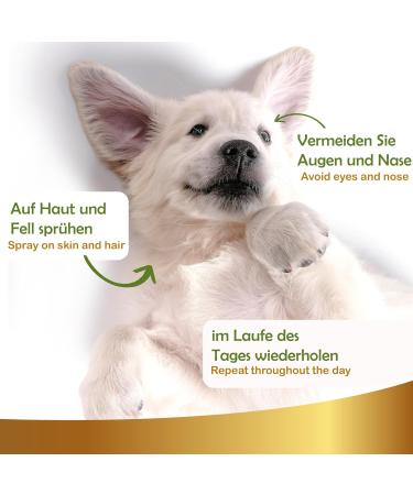 Natural Sun Protection Spray for Dogs & Cats | 250ml Sunscreen Fluid - Linea 101 - Buy Online on SooperMarket.com