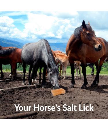 Himalayan Nature Licking Salt for Horses - 2 Pack Pink | Natural Mineral Supplement - Buy Online on SooperMarket.com