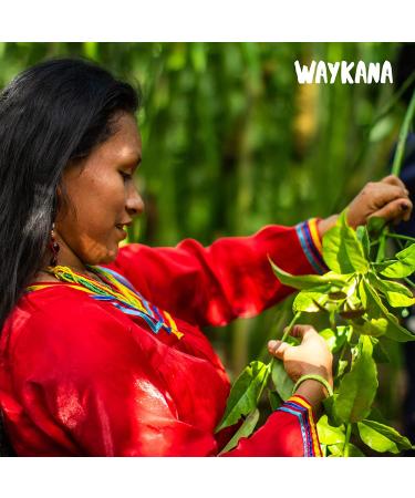Waykana Organic Guayusa Loose Leaf Tea - 8 oz (227 g) | Premium Natural Energy Boost - Buy Online on SooperMarket.com
