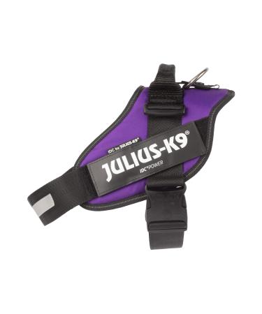 Julius-K9 IDC Powerharness Size: XL/2 Dark Purple XL/2