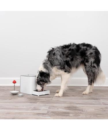 PetSafe Teach & Treat Remote Dog Trainer | Positive Reinforcement & Rewards | International Shipping Available - Buy Online on SooperMarket.com