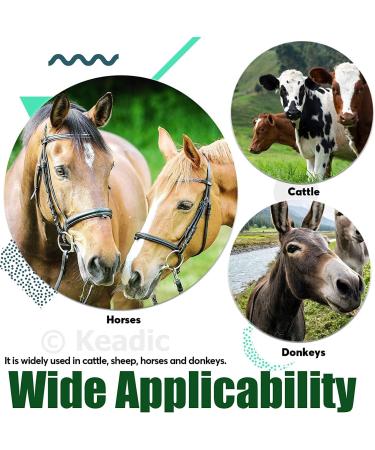 Nicoone Horse Farrier Hoof Trim Tool Kit | 3PC Professional Hoof Cutting Tongs & Horseshoe Care Accessories - Buy Online on SooperMarket.com