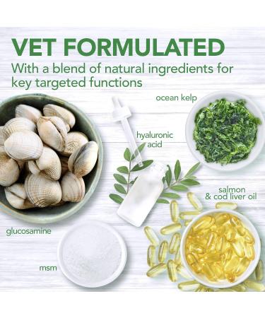 Vets Best Daily Soft Chews for Adult Dogs - 180 Chews | Premium Dog Supplements - International Shipping Available - Buy Online on SooperMarket.com