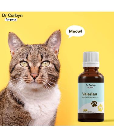 Dr Corbyn Pets Valerian Drops | Calming Supplement for Dogs, Cats & Pets | Supports Relaxation & Stress Relief (50ml) - Buy Online on SooperMarket.com