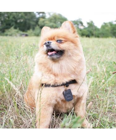 Muki & Co Double-Layered Dog Dishes - Adjustable & Comfortable for Extra Small to Medium Dogs - Safe Design in Black Size S (38-45 cm) - Buy Online on SooperMarket.com