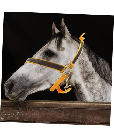 BCOATH Portable Fully Equipment Halter Reflective Racing Bridle Horse Adjustable Head Riding Tool - Buy Online on SooperMarket.com