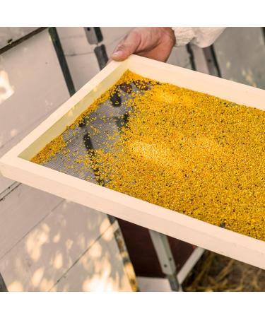 Earthbreath Pure Bee Pollen Granules 200g - Raw Natural & Additive-Free - Buy Online on SooperMarket.com