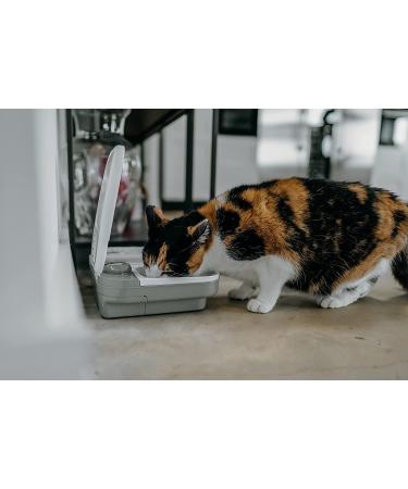 Cat Mate Timed Automatic Feeder Two bowl feeder - Buy Online on SooperMarket.com