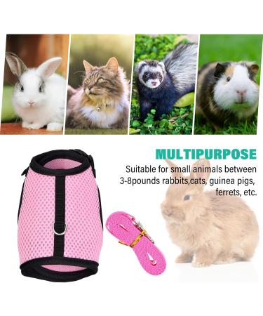 Buy Tibapla Adjustable Rabbit Dishes with Elastic Leash - Perfect Kitty & Small Animal Bowl - Pink (M) - Buy Online on SooperMarket.com