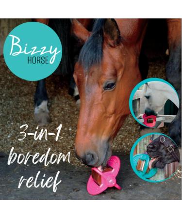 Bizzy Ball Horse Toy Black | Bizzy Lick Holder Reduce Boredom in Horses | Innovative Design | Peppermint Essential Oil included | 847g - Buy Online on SooperMarket.com
