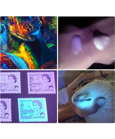 DARKBEAM UV Light Torch Ultraviolet Flashlight Rechargeable 365nm Wood's Lamp Black Light Blacklight Portable Mini Handheld LED Pet Urine Ringworm Detector Resin Curing Pocket-Sized - Buy Online on SooperMarket.com