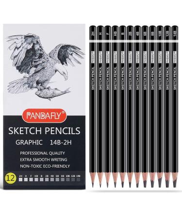 PANDAFLY Professional Drawing Sketching Pencil Set - 12 Pieces Graphite Pencils(14B - 2H), Ideal for Drawing Art, Sketching, Shading, Artist Pencils for Beginners & Pro Artists 12 Pack - Black