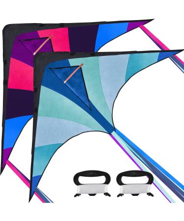 JOYIN 2 Packs Large Delta Kite Blue and Purple Kite Easy to Fly Huge Kites for Kids and Adults with 262.5 ft Kite String, Large Delta Beach Kite for Outdoor Games and Activities