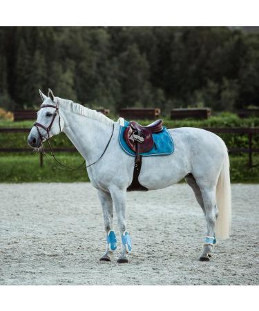 HORZE Horse Bridle Sion - English Noseband & Reins for Thoroughbred - Brown Color - International Shipping Available - Buy Online on SooperMarket.com