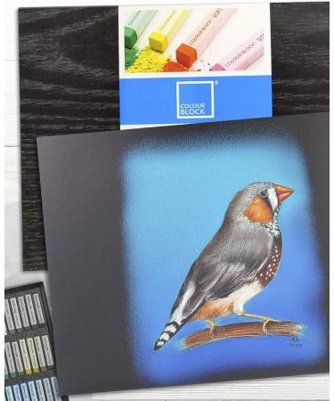 Professional Soft Pastel Paper Pad | 12X16 Inches | Black Paper | 230gsm | 24 Sheets | 2 Pack - Buy Online on SooperMarket.com