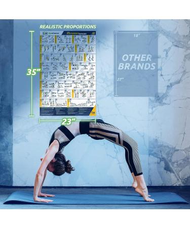 EverStretch Bodyweight Workout Poster - Large 23 x 35 | Video Instructions & Laminated Chart | Home Gym Exercise Poster - Buy Online on SooperMarket.com
