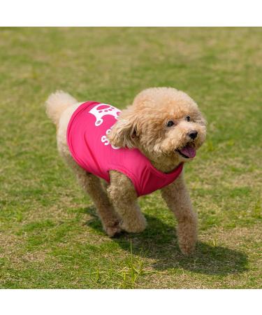 6 Pack Dog Shirt Puppy Clothes for Chihuahua - Breathable Dog Outfit - Summer Cat and Dog Clothes - Dachshund Puppy Accessories - Printed Dog Shirts - Medium - Buy Online on SooperMarket.com