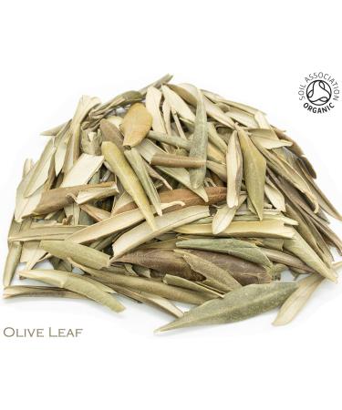 Organic Olive Leaf Pure Herbal Infusion (25 Unbleached Tea Bags - 50g) - Buy Online on SooperMarket.com