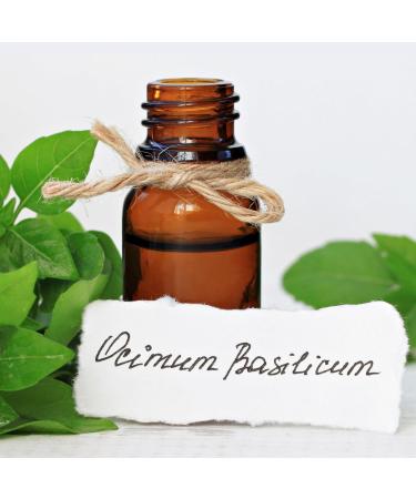 Organic Essential Oils Set for Hair Repair - Basil, Rosemary, Clary Sage | 100% Pure Therapeutic Grade | Non-GMO | 25ml Pack - Buy Online on SooperMarket.com