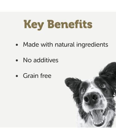 Applaws Natural Wet Dog Food Tin Grain Free Meat Selection with Vegetables in Jelly 156g (8 x 156g Tins) Meat Selection in Jelly 156 g (Pack of 8) - Buy Online on SooperMarket.com
