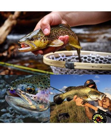 MAXIMUMCATCH Fly Leader 5 Pack - Transparent Tapered Leaders 7.5/9/12/15ft 0X-7X for Fly Fishing - Buy Online on SooperMarket.com