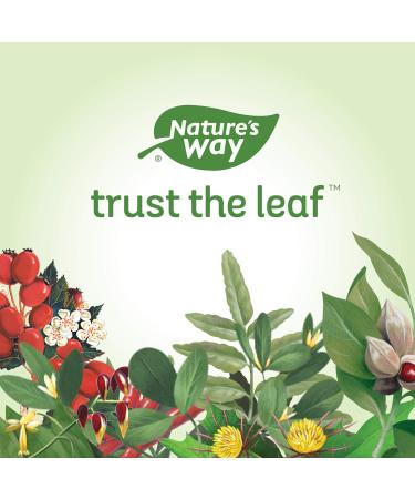 Nature s Way Kelp - Iodine Supplement for Thyroid Support from Kelp - Non-GMO - 180 Vegetarian Capsules Value Size 180 Count (Pack of 1) - Buy Online on SooperMarket.com