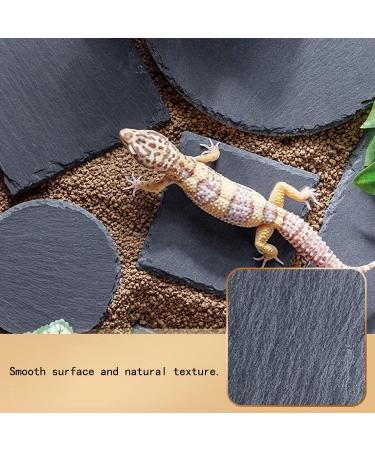 Lezevn 2Pcs Slate Reptile Basking Platform Tortoise Rock Plate Feeding Food Bowl Dish Feeding Slate Grinding Nail Landscape Habitat Decor - Buy Online on SooperMarket.com