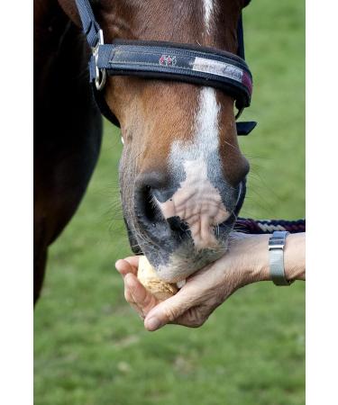 Buy Fresh Horseradish - 2nd Class for Horses (500g) | International Shipping Available - Buy Online on SooperMarket.com