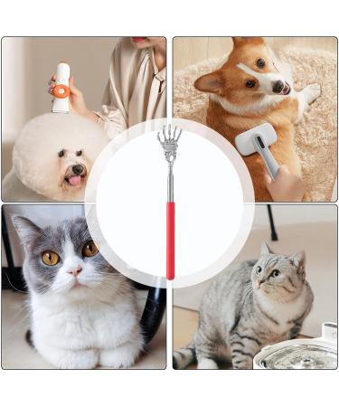 Neamou Cat & Dog Back Scratch Massage Tool - Stainless Steel Pet Grooming & Cleaning for Cats Dogs Rabbits & More - Buy Online on SooperMarket.com