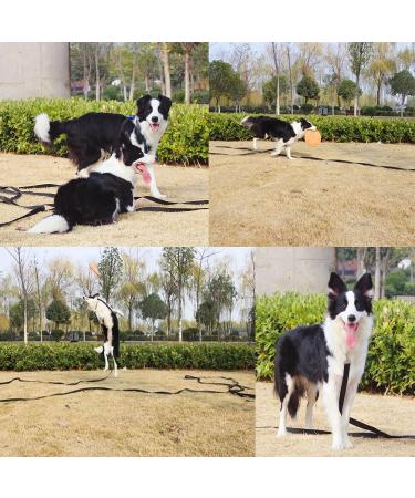 NavoX Training Lead for Dog/Puppy 20m Red Extra Long Line Dog Lead Nylon Long Dog training Leash for Pet Recall hiking camping hunting backyard - Buy Online on SooperMarket.com