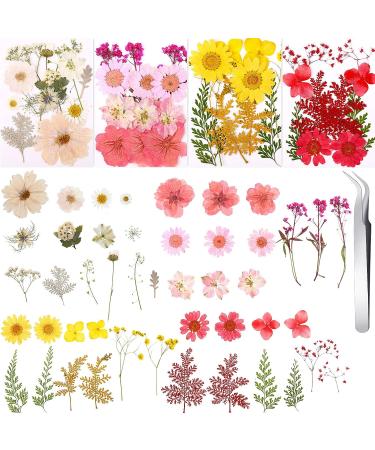 109 Piece Real Dried Pressed Flowers Set with Tweezers - Craft DIY Candle Resin Jewelry Nail Pendant Making Supplies - Buy Online on SooperMarket.com