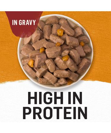 Purina Beyond Grain Free Wet Dog Food in Gravy - Chicken & Sweet Potato, 12.5 oz Cans (12-Pack) - Buy Online on SooperMarket.com