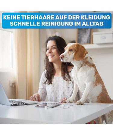 Bluepet 3x Widerverwendbare Mini Lint Roll - Sustainable Animal Hair Remover for Dog & Cat Hair - Washable & Portable - Perfect for Travel - Buy Online on SooperMarket.com