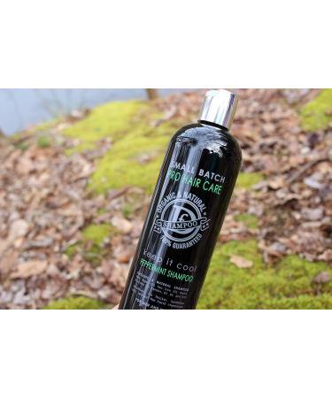 Premium Organic Hair Shampoo - Sulfate Free Argan Oil Tea Tree & Peppermint for Men & Women - Loss & Dandruff Prevention | Dave's 16 Oz - Buy Online on SooperMarket.com