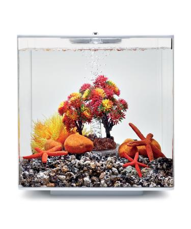 biOrb 55024 Decor Set 15L Autumn - autumnal colorful aquarium decor / suitable for 15 l biOrb aquariums Autumn 15 liters