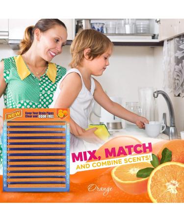 Buy Drain Cleaner Stick - BioFlow Deodorizer & Enzyme Cleaner for Kitchen Shower & Bathroom Odors - Effective Drain Sticks Tool - Buy Online on SooperMarket.com