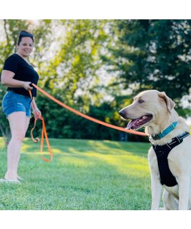 Waterproof Long Line Dog Training Lead - 20m, Suitable for all Sized Dogs - Buy Online on SooperMarket.com