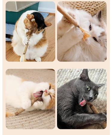Nepfaivy Cat Toys for Indoor Cats - Silvervine Stick Cat Chew Toy 6 PCS Cat Nip Toy for Teeth Cleaning Natural Dental Catnip Sticks for Kittens - Buy Online on SooperMarket.com