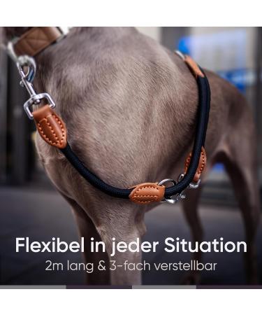 Freudenier Adjustable Dog Leash for Medium & Large Dogs - 2m Robust Nylon with Brown Leather Elements - Perfect for Chasing - Buy Online on SooperMarket.com