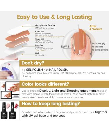 YTD LIKOMEY UV Nail Polish Shellac Set - 6 Translucent Colors Base & Top Coat 8 PCs 7.5ml Gel Kit for Professional Manicures - Buy Online on SooperMarket.com