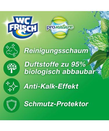 WC Frisch Kraft Active Pro Nature Mint & Eucalyptus Toilet Cleaner - 10 Pack | 95% Biodegradable Fragrance Stones for Long-Lasting Freshness | International Shipping Available - Buy Online on SooperMarket.com