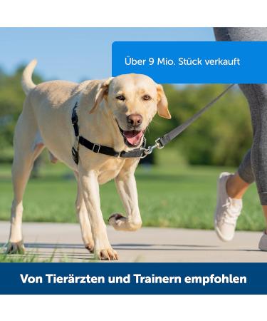 PetSafe Easy Walk Harness - Anti-Pull Dog Harness Red Size L with 1.8M Leash | Reduce Choking & Coughing | International Shipping Available - Buy Online on SooperMarket.com