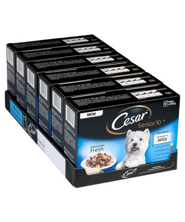 Cesar Deliciously Fresh - Wet Dog Food for Senior Dogs 10+ Mixed Selection in Jelly 48 Pouches (6 x 8 x 100 g)